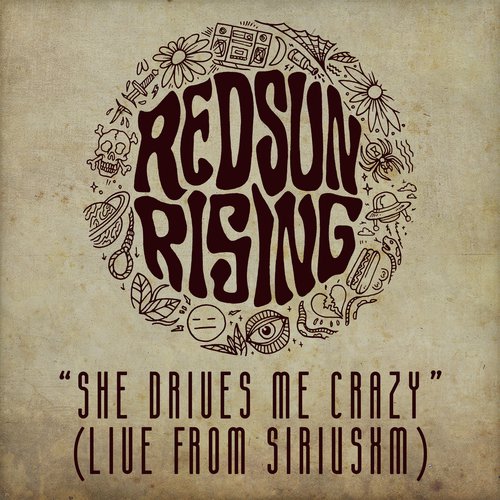 She Drives Me Crazy (Live From SiriusXM)_poster_image