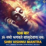Shri Vishnu Mantra