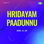 Sindoorappoomchundinayilu Thingi