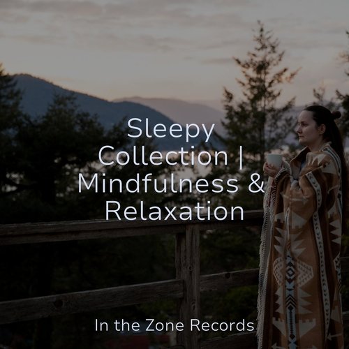 Sleepy Collection | Mindfulness &amp; Relaxation_poster_image