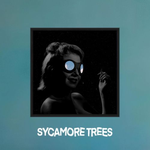 Sycamore Trees_poster_image