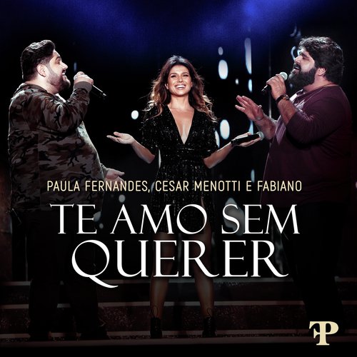 Te Amo Sem Querer (Ao Vivo Em Sete Lagoas, Brazil / 2019)_poster_image