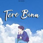 Tere Bina