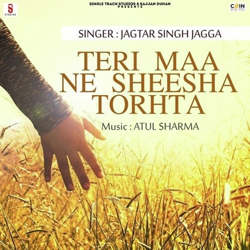 Sohne Watan Punjab Nu