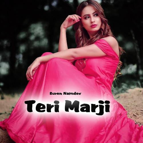 Teri Marzi (Feelings)_poster_image