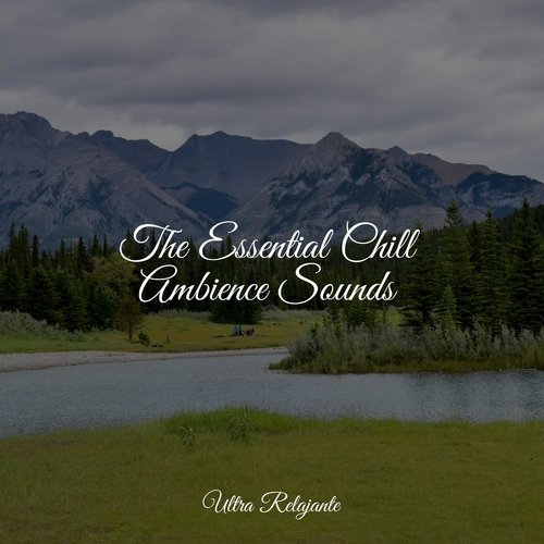The Essential Chill Ambience Sounds