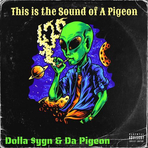 This Is the Sound of a Pigeon_poster_image