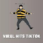 Viral Hits TikTok (Remix)