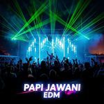 papi jawani edm