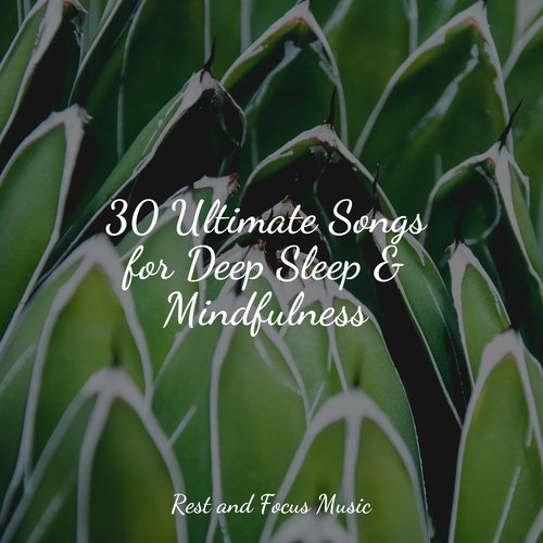 30 Ultimate Songs for Deep Sleep &amp; Mindfulness_poster_image