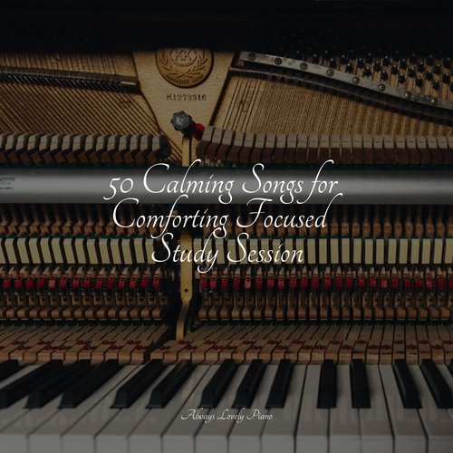 50 Calming Songs for Comforting Focused Study Session