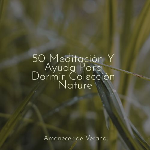 50 Meditación Y Ayuda Para Dormir Colección Nature