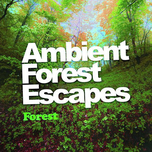 Ambient Forest Escapes