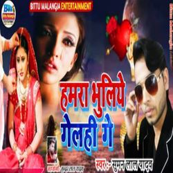 Bhulai Gelhi Ge