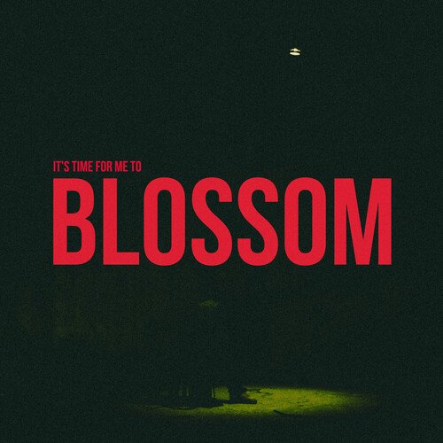 Blossom_poster_image