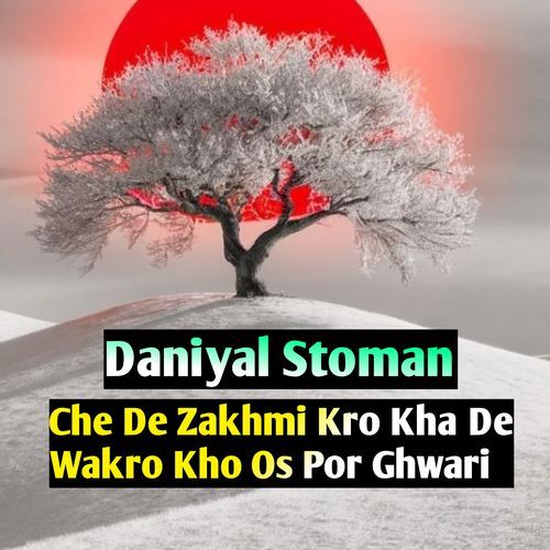 Che De Zakhmi Kro Kha De Wakro Kho Os Por Ghwari