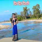 Dil Dil Diwani
