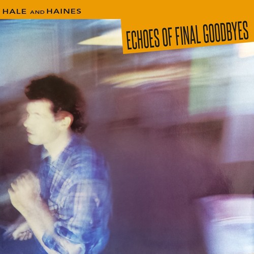 Echoes of Final Goodbyes_poster_image