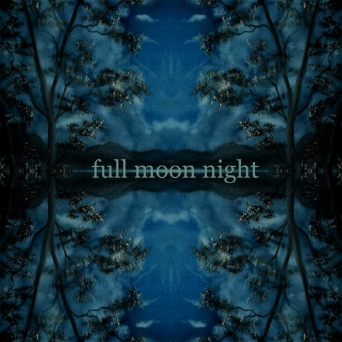 Full Moon Night_poster_image