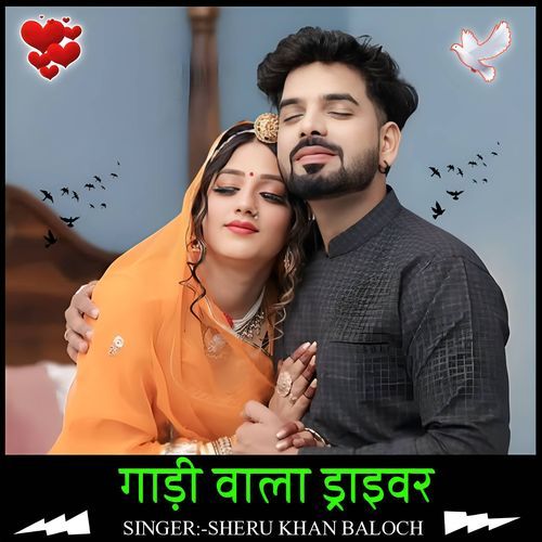 Gaadi vala driver
