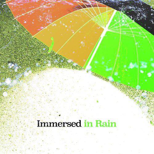 Rich Rain cover art