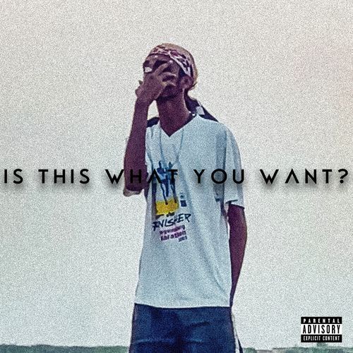 Is This What You Want?_poster_image