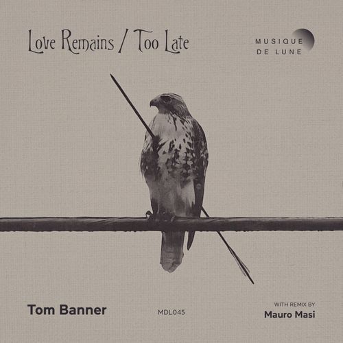 Love Remains (Mauro Masi Remix) cover art