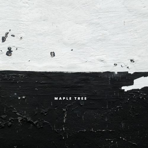 Maple Tree cover art