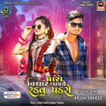 Maro Vichar Avshe Radvu Padshe