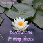 Meditation and Happiness