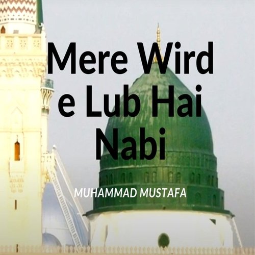 Mere Wird E Lub Hai Nabi