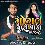 Mogal Tari Mithi Najar