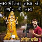 Nagnecha Mata ji Darshan Do Aaye