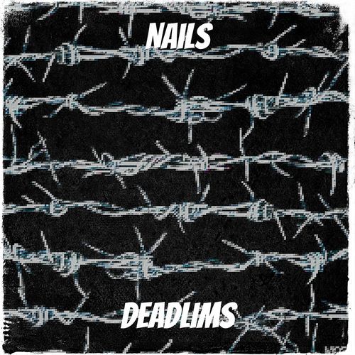 Nails cover art