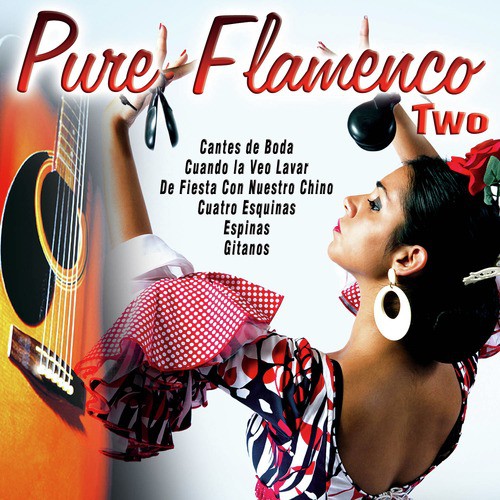 Pure Flamenco Two