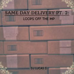 Same Day Delivery 2: Loops Off The MP