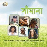 Bristir Jole Bhijechi