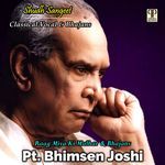 Tum Been Mori Kaun Khabar Le (Bhajan) artwork