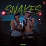 Snakes artwork
