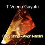 Spicy Strings   Ayigiri Nandini
