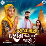 Tari Dhaja Na Darshan Jene Thai Jashe