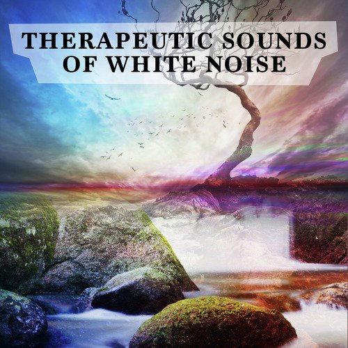 Therapeutic Sounds of White Noise