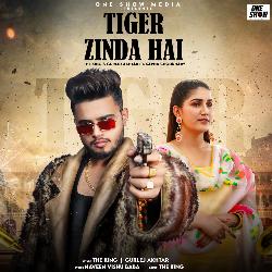 Tiger Zinda Hai-FyUJHC1DRAs