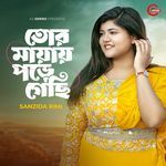 Tor Mayay Pore Gechi (Lofi)