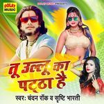 Tu Ullu Ka Pattha Hai