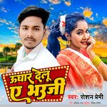 Ughar Delu Ye Bhauji