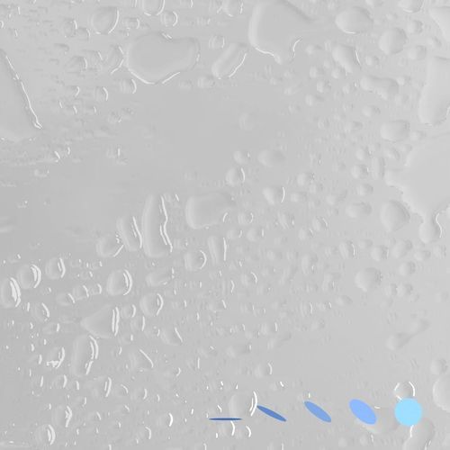 frank cover art