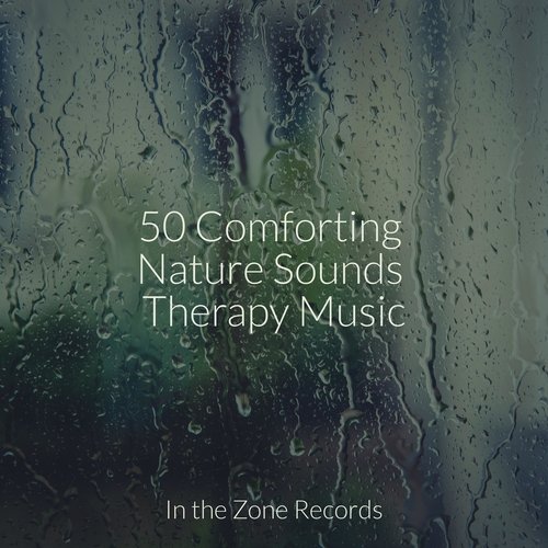 Nature's Symphony cover art