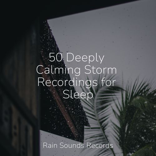 50 Deeply Calming Storm Recordings for Sleep