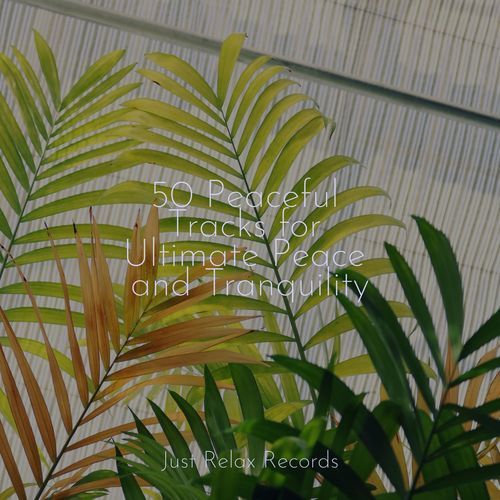 Lucid Haze Melody cover art